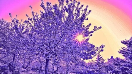 spring real estate market