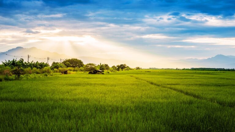 Realtor.com launches land price estimates as market lags