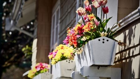 This spring is bringing more buyers but fewer bidding wars: Redfin