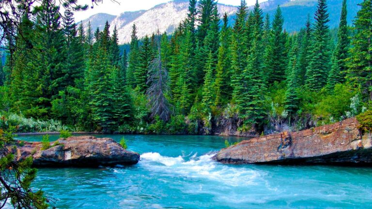 What to do when your buyer owns the ranch but not the water under it