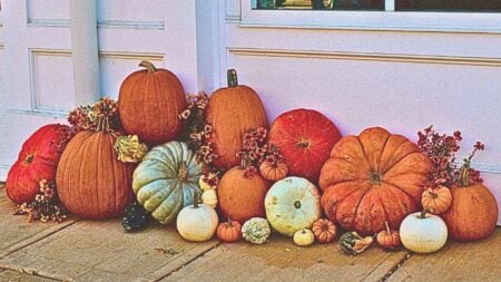 fall home staging