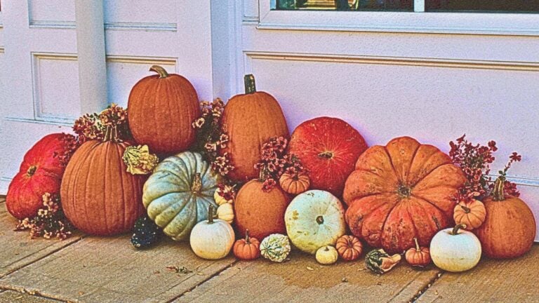 Pumpkin problems: 7 fall staging don’ts that scare homebuyers