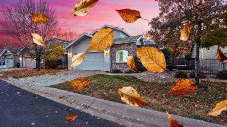 Falling prices fail to lift affordability as mortgage rates climb